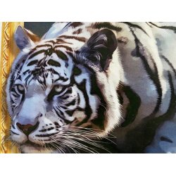 Diamond Art - Hvid tiger 40 x 50 cm