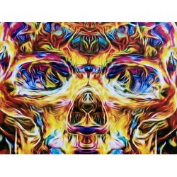 Diamond Art - Kranie 40 x 50 cm